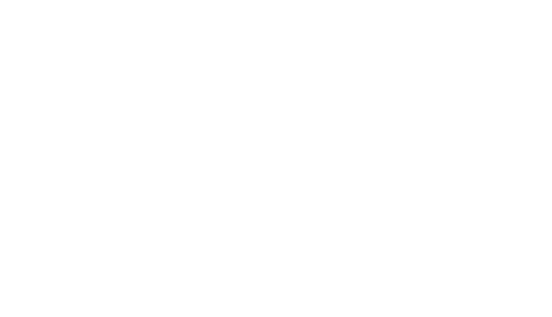 GSSR Abroad Experts